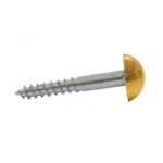32mm x 8 EB Dome Mirror Screws 4 pack